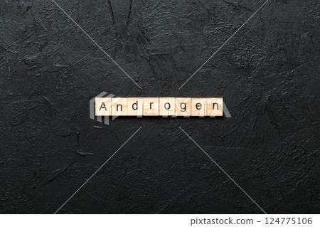 androgen word written on wood block. androgen text on table, concept androgen word written on wood block. androgen text on table, concept 124775106