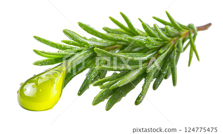 Vibrant yellow-green drop of rosemary oil resting on fresh rosemary leaves capturing the essence of herbal beauty and natural healing 124775475