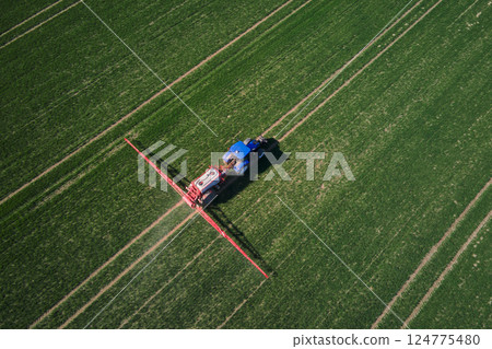 Blue tractor working in agricultural field, aerial view. Tractor spraying crop field with fertilize or pesticide for good harvest. Concept of farming technology and crop care 124775480