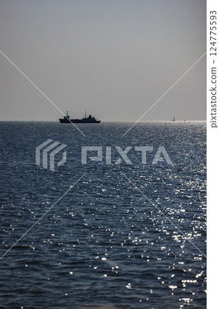 Panorama Silhouette photo of ocean liners or vessels in the ocean, The Cargo ship or Freight ship fleet on service. 124775593