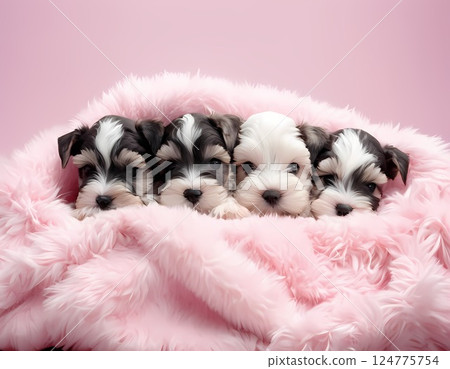 可愛的小狗 124775754