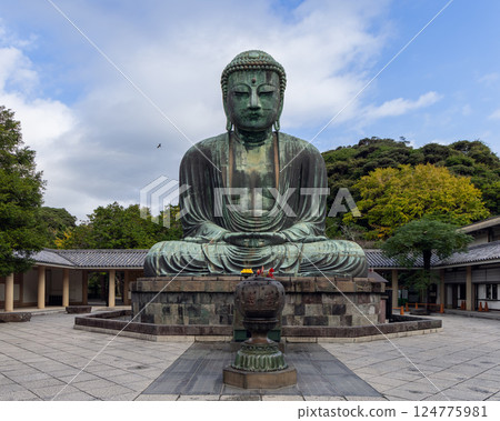 The Great Buddha statue at Kotoku-in temple in Kamakura Japan The Great Buddha statue at Kotoku-in temple in Kamakura Japan 124775981