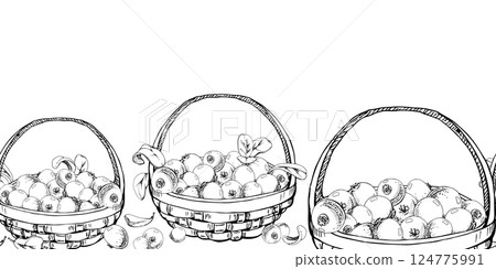 Cranberry lingonberry with leaves in weaved basket, vector hand drawn in ink, scattered ripe picked forest berry harvest. Isolated seamless banner. Restaurant, cafe menu, recipe book, farmers market Cranberry lingonberry with leaves in weaved basket, vector hand drawn in ink, scattered ripe picked forest berry harvest. Isolated seamless banner. Restaurant, cafe menu, recipe book, farmers market 124775991