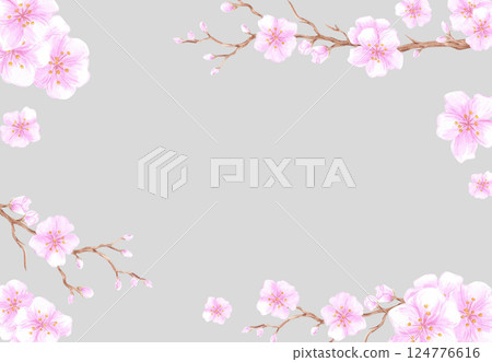 Hand drawn watercolor cherry blossom branch frame border. Illustration of flowers isolated on grey background. Can be used for business card, invitation, scrapbook and other printed products. 124776616