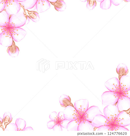 Hand drawn watercolor cherry blossom branch frame border. Illustration of flowers isolated on white background. Can be used for postcard, album, scrapbook and other printed products. Hand drawn watercolor cherry blossom branch frame border. Illustration of flowers isolated on white background. Can be used for postcard, album, scrapbook and other printed products. 124776620