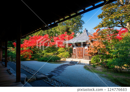 Kenninji temple terrace by stone garden and shrine at fall, Kyoto 124776683