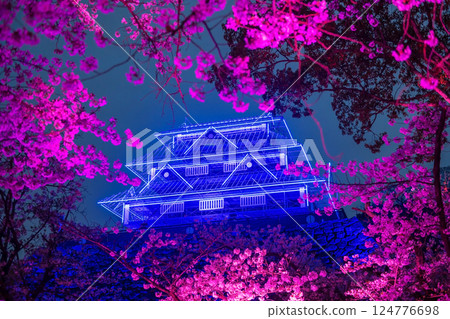 Sakura or cherry blossom with pink light up and Fukuoka Castle ruins Sakura or cherry blossom with pink light up and Fukuoka Castle ruins 124776698