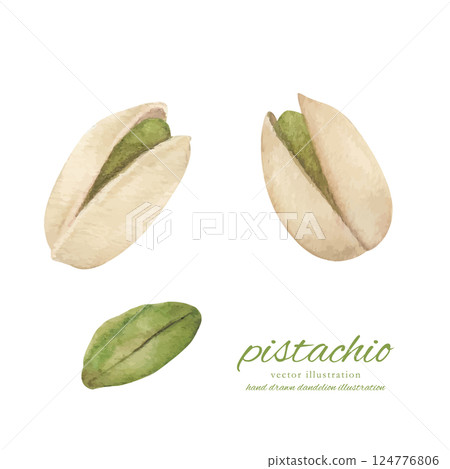 開心果水彩手繪向量插圖集 124776806