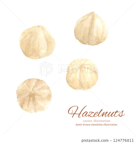 用水彩繪製的榛果的向量插圖集 124776811