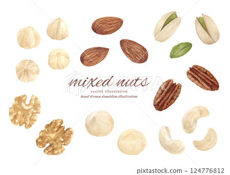 Vector illustration set of mixed nuts drawn by watercolor Vector illustration set of mixed nuts drawn by watercolor 124776812