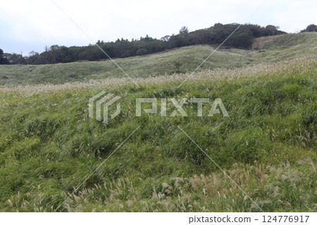 Vast prairie Vast prairie 124776917