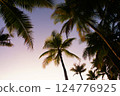 Boracay Island Palm trees at dusk 124776925