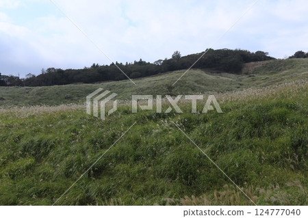 Vast prairie 124777040