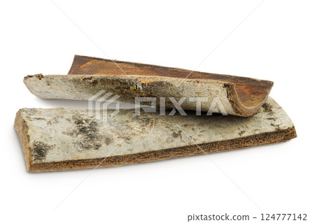 piece of aspen bark isolated on white background. 124777142
