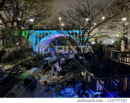 音無水上樂園春季夜間櫻花燈飾 音無水上樂園春季夜間櫻花燈飾 124777191