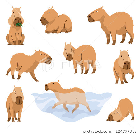 Capybaras. Cartoon cute animal, wild herbivore mammal resting. Funny adorable exotic animal relaxing. Cartoon flat vector illustration 124777313