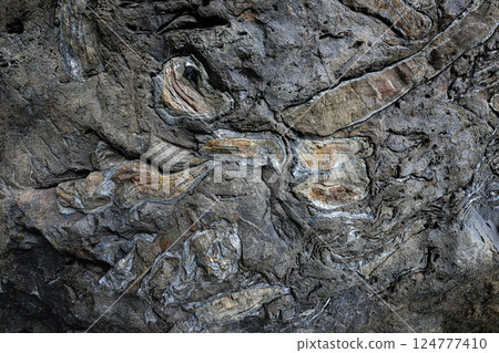 Exposed geological layers: Koshikijima Exposed geological layers: Koshikijima 124777410