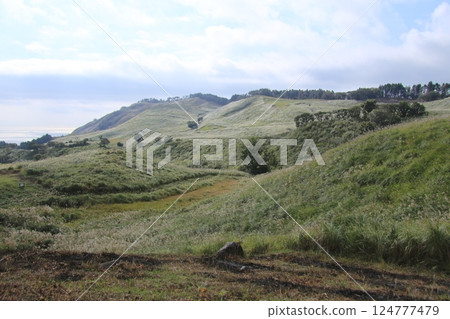 Vast prairie Vast prairie 124777479