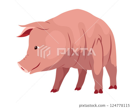 Pig set flat cartoon isolated on white background. Pink pig vector illustration Pig set flat cartoon isolated on white background. Pink pig vector illustration 124778115
