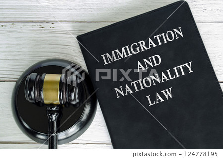 Top view of Immigration and Nationality Law book with gavel background 124778195