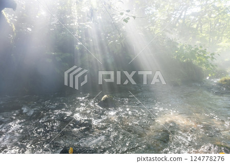 A scene of light shining on a clear stream in the forest - Oyamakiyazawa mountain stream A scene of light shining on a clear stream in the forest - Oyamakiyazawa mountain stream 124778276
