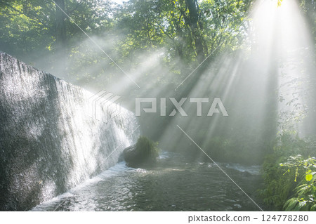 A scene of light shining on a clear stream in the forest - Oyamakiyazawa mountain stream A scene of light shining on a clear stream in the forest - Oyamakiyazawa mountain stream 124778280