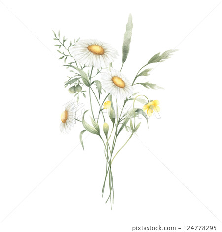 Bouquet floral of watercolor wildflowers chamomile, buttercup and meadow grasses isolated from background. Hand drawn illustration of yellow flowers for fabric print, packaging, cards and stickers. Bouquet floral of watercolor wildflowers chamomile, buttercup and meadow grasses isolated from background. Hand drawn illustration of yellow flowers for fabric print, packaging, cards and stickers. 124778295