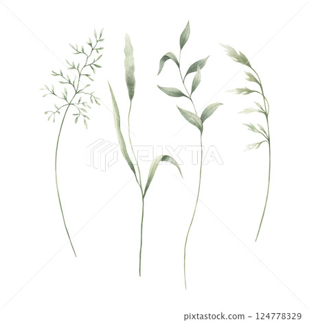 Meadow green grasses, four various field thin herbs. Hand drawn herbal watercolor illustration. Set of elements isolated from background. Sketch of wild greenery for natural, farm and rustic design. Meadow green grasses, four various field thin herbs. Hand drawn herbal watercolor illustration. Set of elements isolated from background. Sketch of wild greenery for natural, farm and rustic design. 124778329