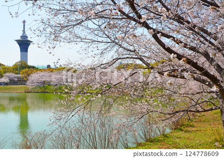 大阪:鶴見綠地公園海濱處處盛開櫻花 大阪:鶴見綠地公園海濱處處盛開櫻花 124778609