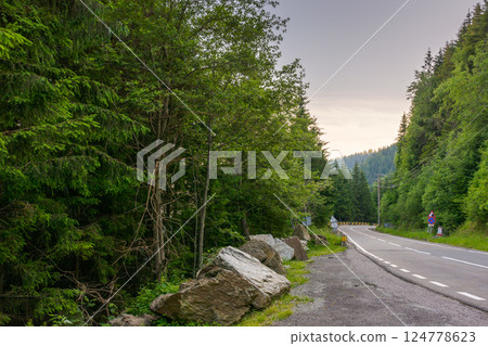 transfagarasan road winding near steep forested slope. great outdoors of fagaras mountain ridge of romania in summer. popular travel destination of europe. sibiu county woodland 124778623