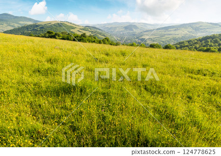 carpathian countryside landscape on a sunny summer morning. scenic view of grassy field and trees on the slope. scenery with distant mountain ridge and village in the valley under blue sky carpathian countryside landscape on a sunny summer morning. scenic view of grassy field and trees on the slope. scenery with distant mountain ridge and village in the valley under blue sky 124778625