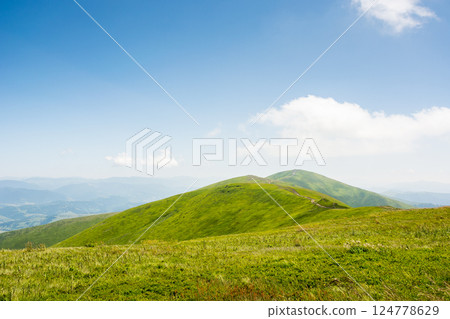 carpathian mountain landscape of ukraine in summer. panoramic highland. wonderful nature scenery of alpine grassy meadow and green hills on a sunny day under blue sky. popular travel destination 124778629