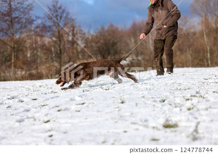 Brown Spaniel running with trainer in snowy winter landscape 124778744