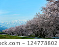 日本的春天，船川的春光四重奏。日本富山縣朝日市。四月中旬。 124778802