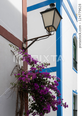 Bougenvillea and architecture, Gran Canaria, Spain 124779628