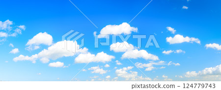 The sky with clouds as a background. Sky in the daytime. Panorama in large resolution. 124779743