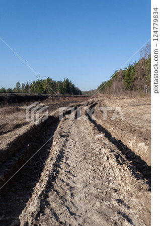 Dirt road along the forest edge 124779834