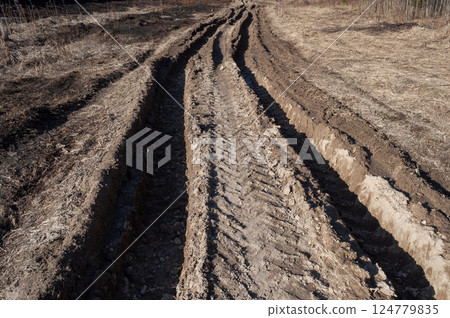 Dirt road, deep rut Dirt road, deep rut 124779835