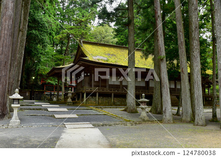 Mount Koya: Shrine and Sannoin Temple surrounded by greenery 124780038