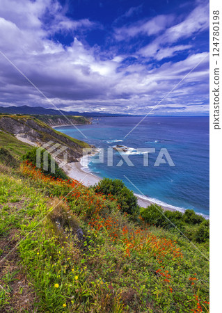 Vidio Cliffs Path, Spain 124780198