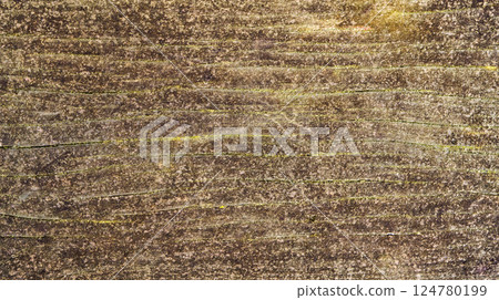 Wood Textured Background 124780199