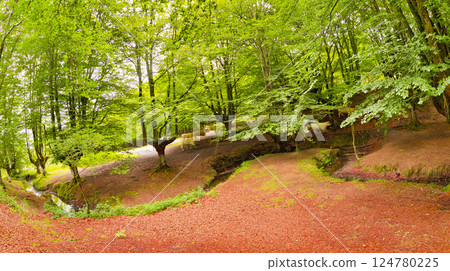 Otzarreta Beech Forest, Gorbeia Natural Park, Spain 124780225