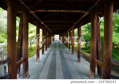 走過東福寺的通天橋 124780241