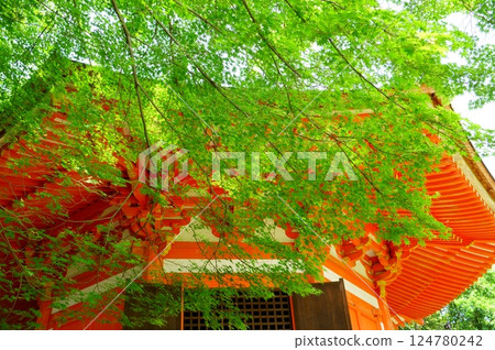 Aizendo and fresh greenery 124780242