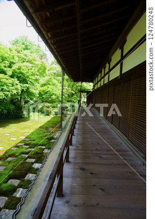 The beautiful Tofukuji Temple gardens with fresh greenery 124780248
