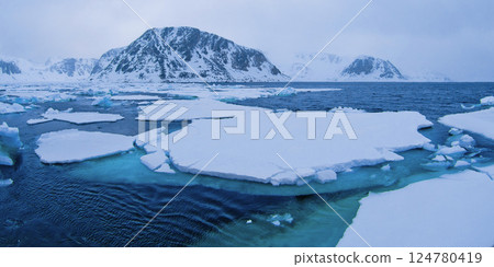 Drift floating Ice and Snowcapped Mountains, Arctic Drift floating Ice and Snowcapped Mountains, Arctic 124780419