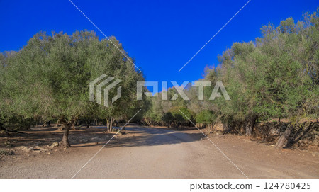 Peninsula de Llevant Natural Park, Spain Peninsula de Llevant Natural Park, Spain 124780425