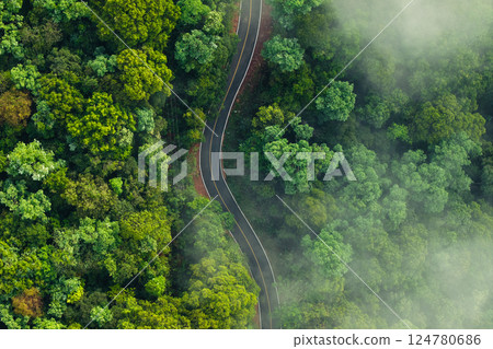 Aerial view of a road in a forest with fog Aerial view of a road in a forest with fog 124780686