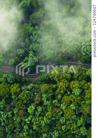 Aerial view of a road in a forest with fog Aerial view of a road in a forest with fog 124780687
