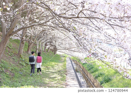 Sakura and elementary school student Sakura and elementary school student 124780944